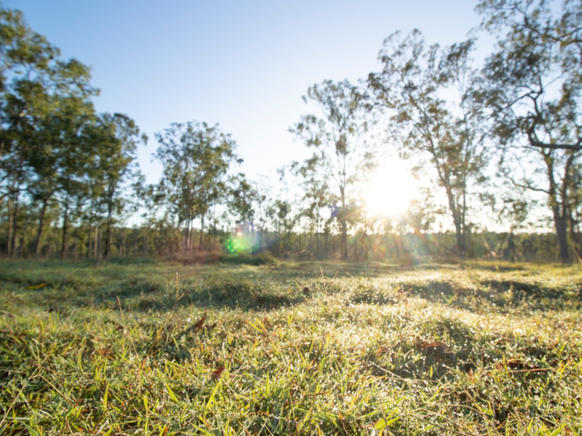 [Land for Sale] Park Lake Estate, Adare OpenLot